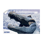 18a91f6d53cc72519b8c8711bc3aa87d.png