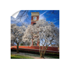 31af0ad2654fbad4e8890c96bffe1256.png