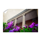 72a4c51db194c804efcb98a8fb604902.png