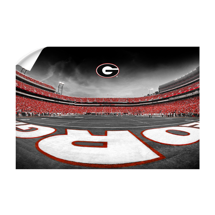 94ccf6833e510a53225cfb34d916159b.png