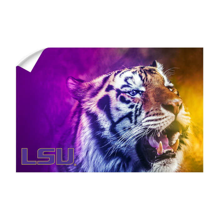 e76855b95fa60219628c1b790a94dafd.png
